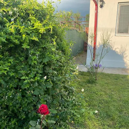 Casa David * קורבו