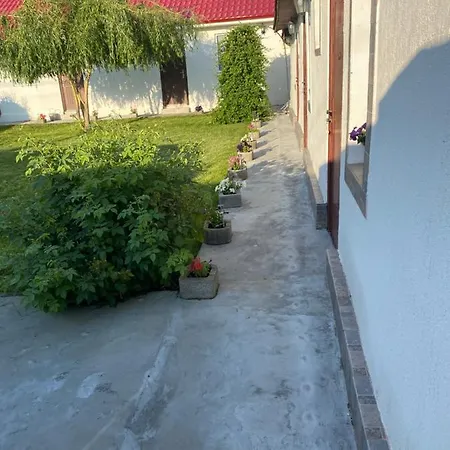 Casa David בית אירוח *