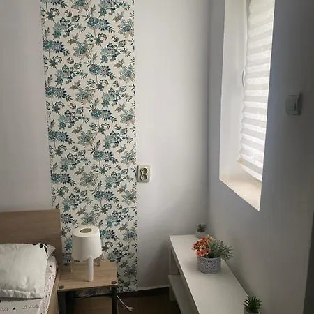 Casa David