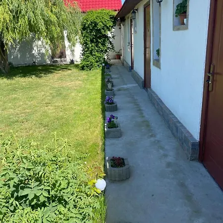 בית אירוח Casa David קורבו