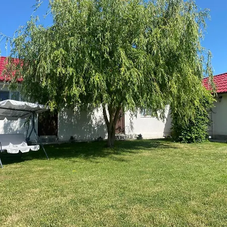 Casa David