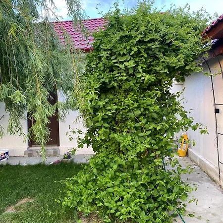 民宿 Casa David *